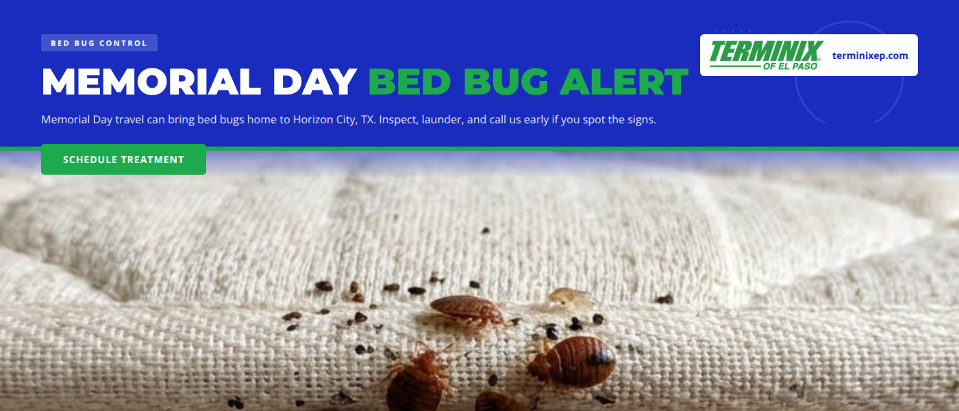 Bed bug control in Horizon City TX - Terminix El Paso technician inspecting mattress seams and luggage after Memorial Day travel