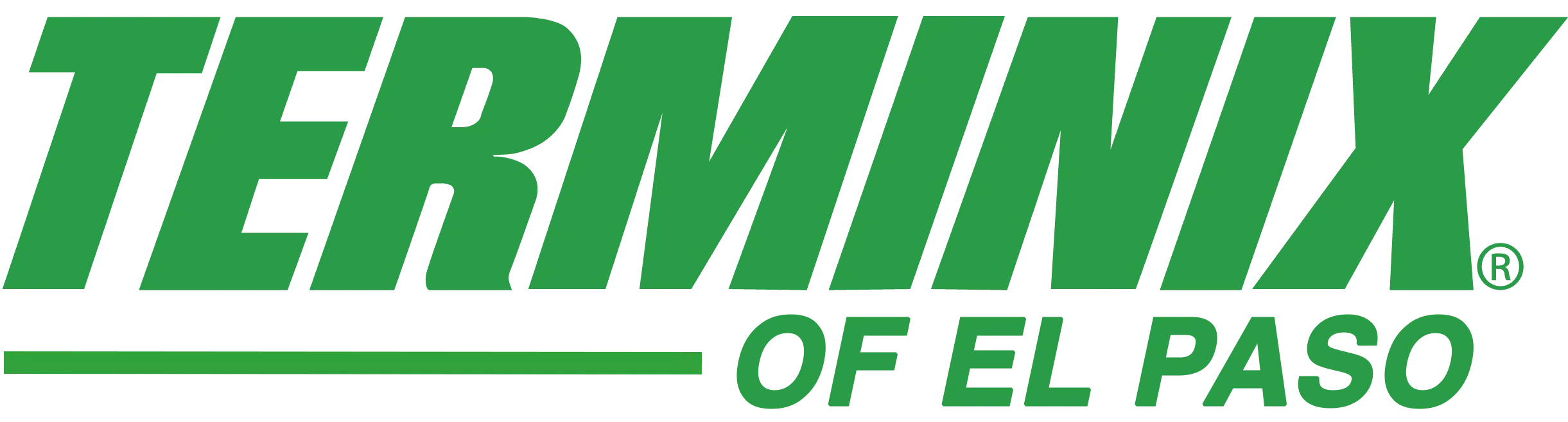 Terminix El Paso logo showcasing the company's branding